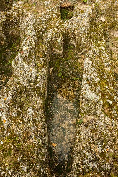 Tumbas de la Necrópolis del s.X