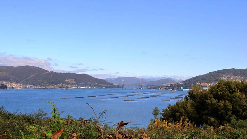 Vistas de la ría de Vigo