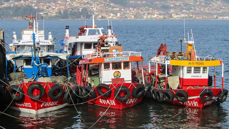 Barcos pesqueros en Cangas