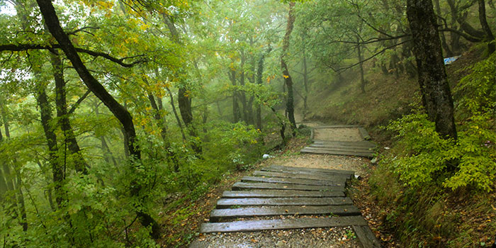 Meteora meteora-camino