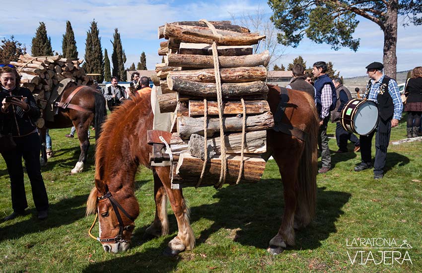 caballo-Gabarreros-2017