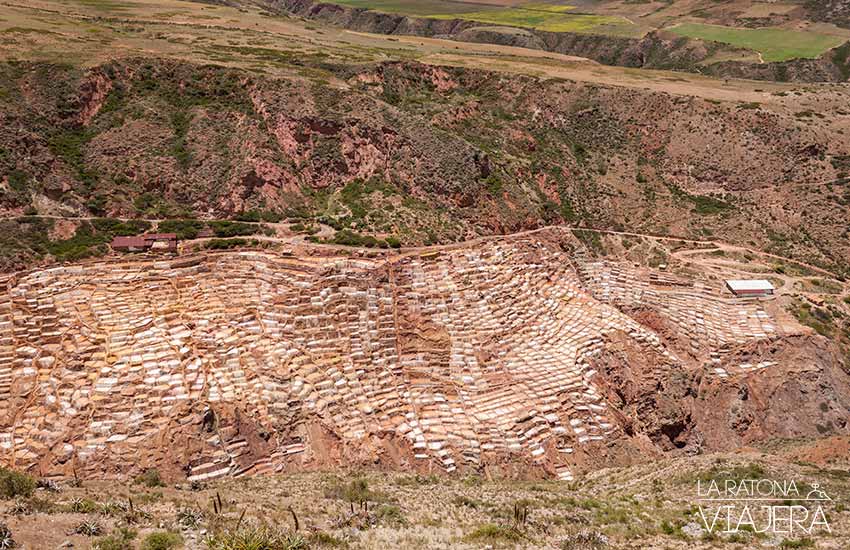 Salar de Maras