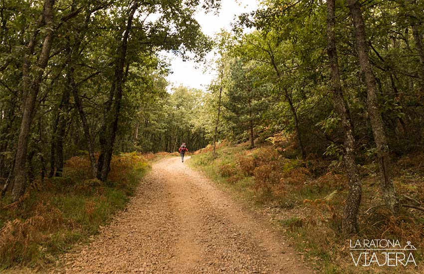 camino de santiago