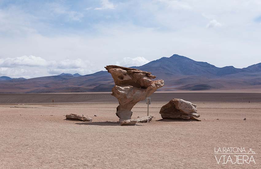 arbol-de-piedra