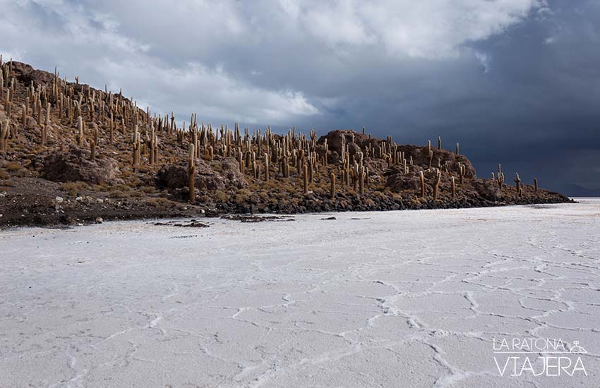 isla-cactus-Salar-Uyuni