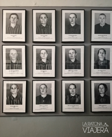 Auschwitz-retratos-mujeres